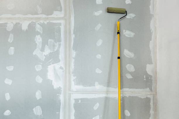  Johnston, SC Mold Removal Pros