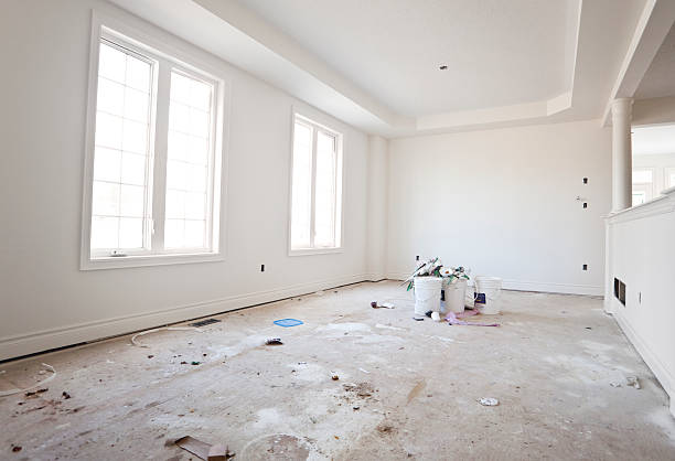 Best Basement Mold Removal  in Johnston, SC